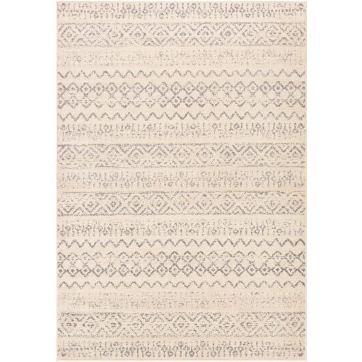 Surya City Light CYL-2309 Charcoal Modern Machinemade Rug