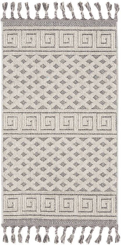 Nourison Home Paxton PAX05 Ivory Slate Contemporary Power-loomed Rug