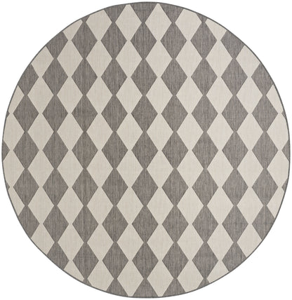 Nourison Home Positano POS04 Charcoal Contemporary Power-loomed Rug
