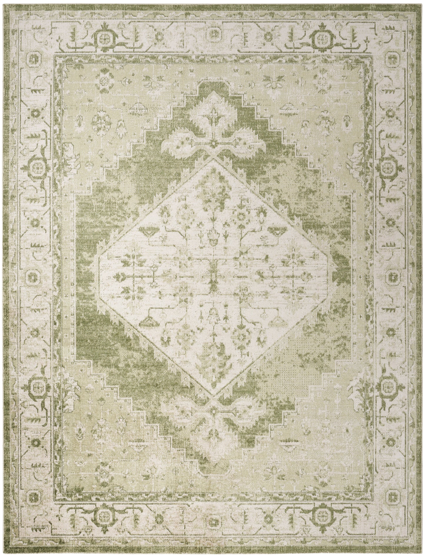 Nourison Home Astra Machine Washable ASW11 Ivory Green Traditional Power-loomed Rug