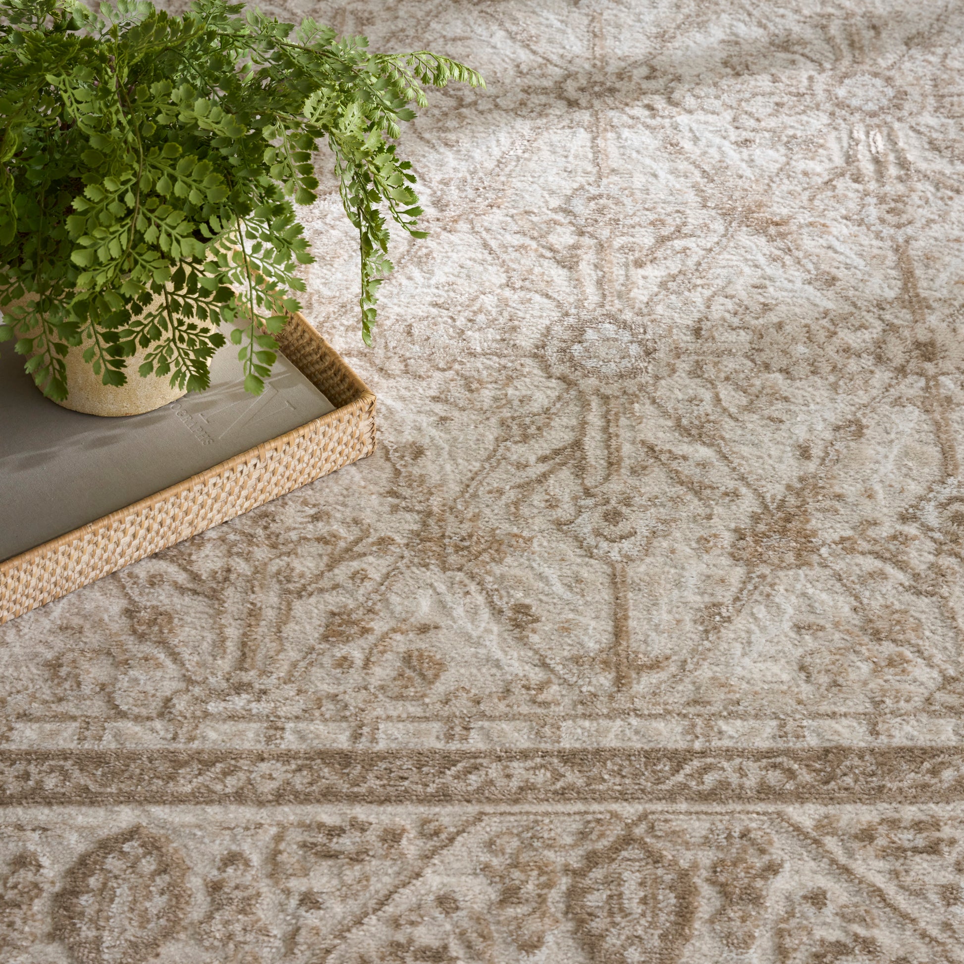 Nourison Home Dekor  Ivory Taupe  Traditional