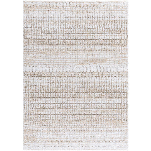 Surya Delight Shag DEL-2302  Global MachineWoven Rug