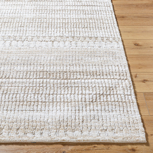 Surya Delight Shag DEL-2302  Global MachineWoven Rug