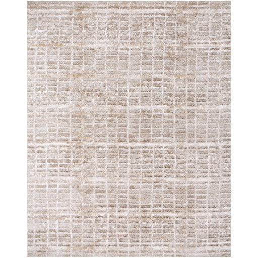 Surya Delight Shag DEL-2305  Global MachineWoven Rug