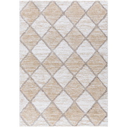 Surya Delight Shag DEL-2306  Global MachineWoven Rug