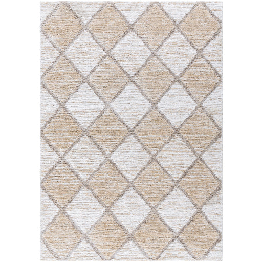 Surya Delight Shag DEL-2306  Global MachineWoven Rug