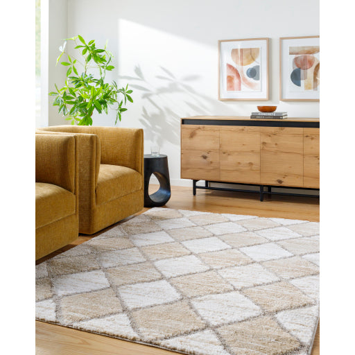 Surya Delight Shag DEL-2306  Global MachineWoven Rug