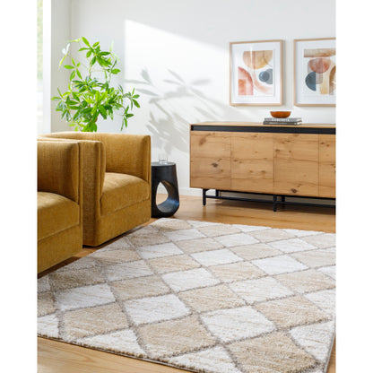 Surya Delight Shag DEL-2306  Global MachineWoven Rug