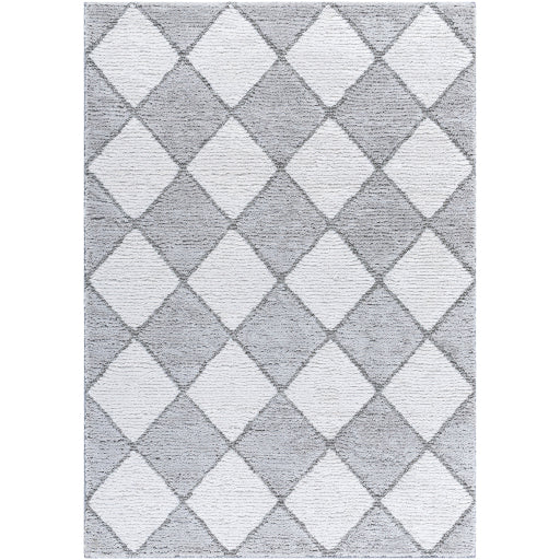 Surya Delight Shag DEL-2307  Global MachineWoven Rug