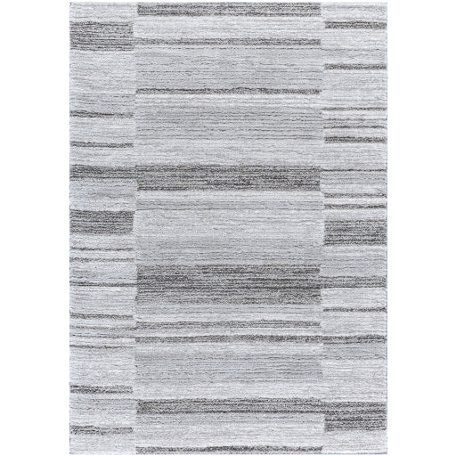 Surya Delight Shag DEL-2308  Global MachineWoven Rug