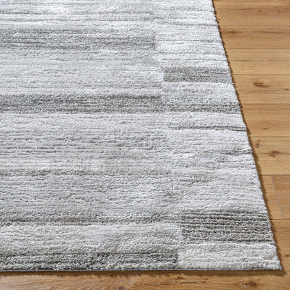 Surya Delight Shag DEL-2308  Global MachineWoven Rug