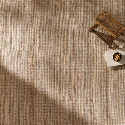 Surya Demi DEM-2304 Pale Blue Rustic Woven Rug