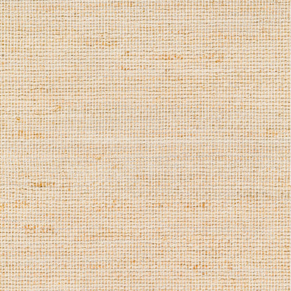 Surya Demi DEM-2304 Pale Blue Rustic Woven Rug