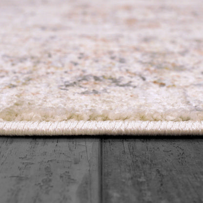 Dynamic Rugs Rojin  Grey Beige Multi  Transitional
