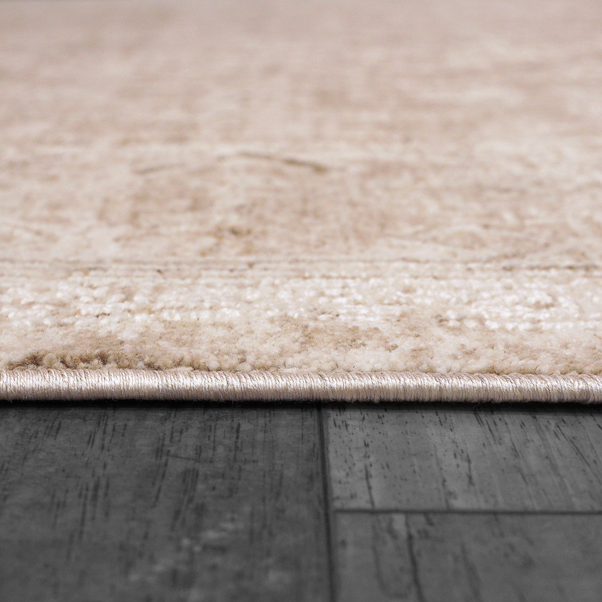 Dynamic Rugs Sahara  Beige Ivory  Transitional
