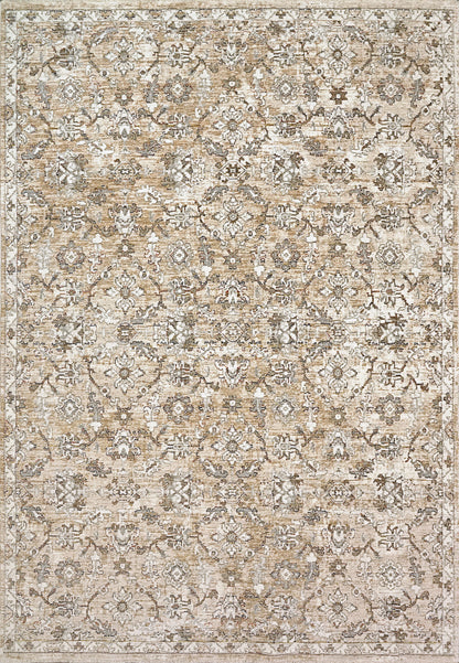 Dynamic Rugs Octo  Cream Multi  Traditional