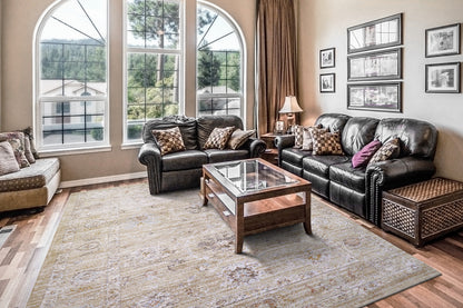 Dynamic Rugs Rojin  Grey Be  Transitional