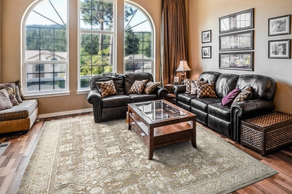 Dynamic Rugs Octo  Cream Multi  Traditional