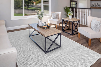 Dynamic Rugs Timeless  Grey  Modern