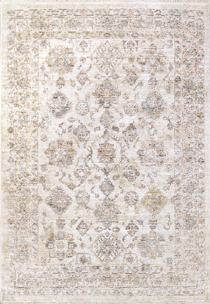 Dynamic Rugs Rojin  Grey Beige Multi  Transitional