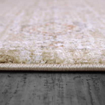 Dynamic Rugs Rojin  Grey Be  Transitional