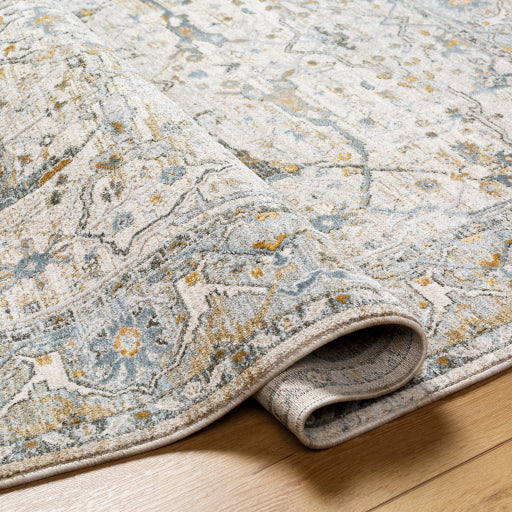 Surya Dresden DRE-2309 Taupe Traditional Machinemade Rug