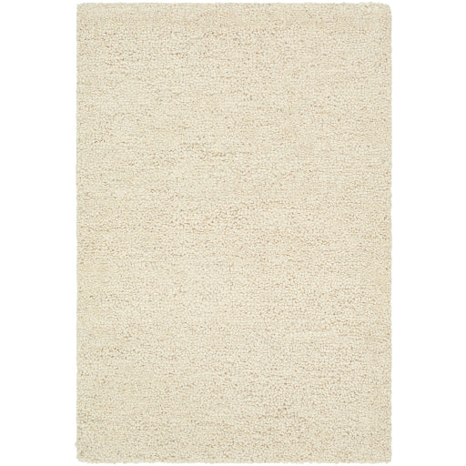 Surya Desire DSE-2303  Traditional Tufted Rug