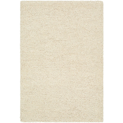 Surya Desire DSE-2303  Traditional Tufted Rug