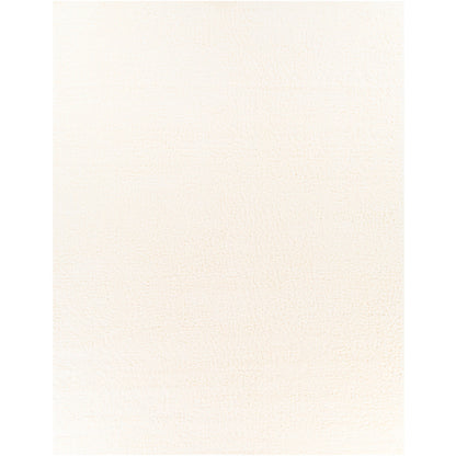 Surya Deluxe Shag DXS-2300 White Modern Machinemade Rug