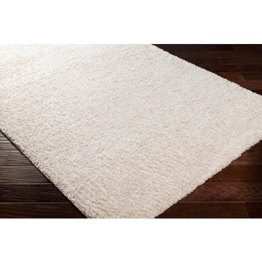 Surya Deluxe Shag DXS-2301 Light Beige Modern Machinemade Rug