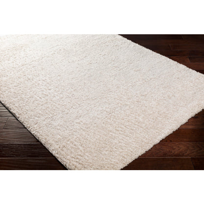 Surya Deluxe Shag DXS-2301 Light Beige Modern Machinemade Rug