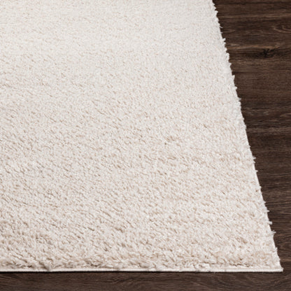 Surya Deluxe Shag DXS-2301 Light Beige Modern Machinemade Rug