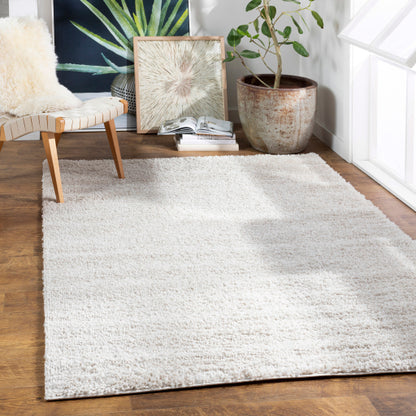 Surya Deluxe Shag DXS-2301 Light Beige Modern Machinemade Rug