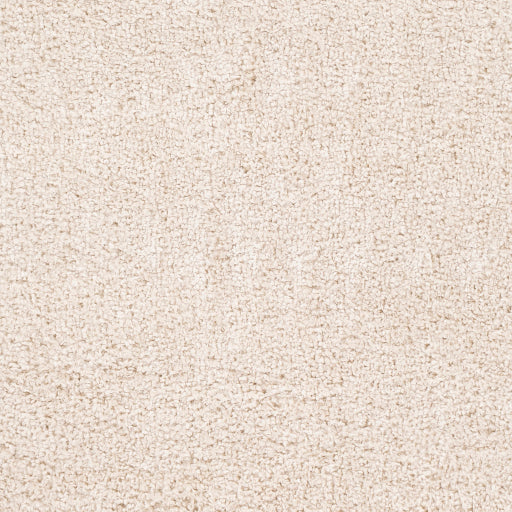 Surya Deluxe Shag DXS-2301 Light Beige Modern Machinemade Rug