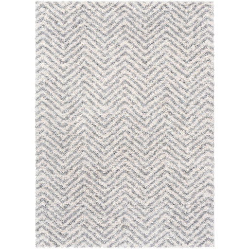 Surya Deluxe Shag DXS-2307 Medium Gray Modern Machinemade Rug