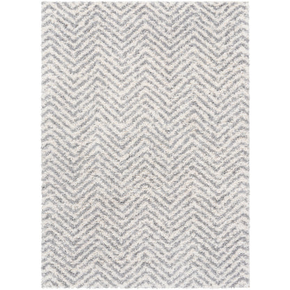 Surya Deluxe Shag DXS-2307 Medium Gray Modern Machinemade Rug