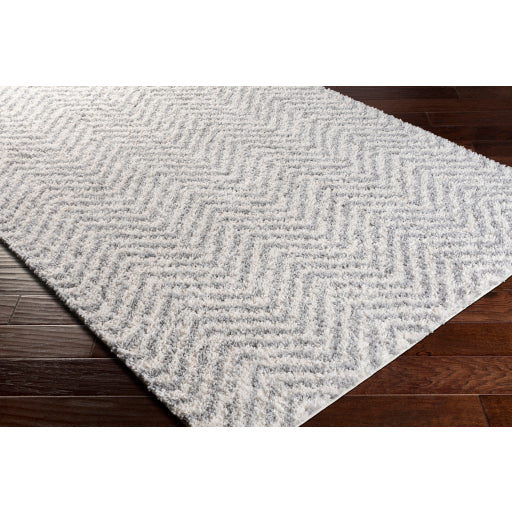 Surya Deluxe Shag DXS-2307 Medium Gray Modern Machinemade Rug
