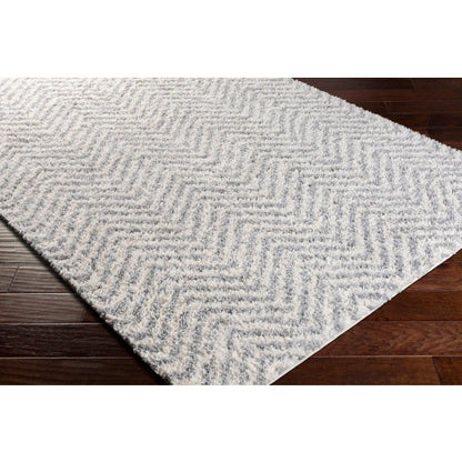 Surya Deluxe Shag DXS-2307 Medium Gray Modern Machinemade Rug