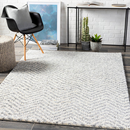 Surya Deluxe Shag DXS-2307 Medium Gray Modern Machinemade Rug
