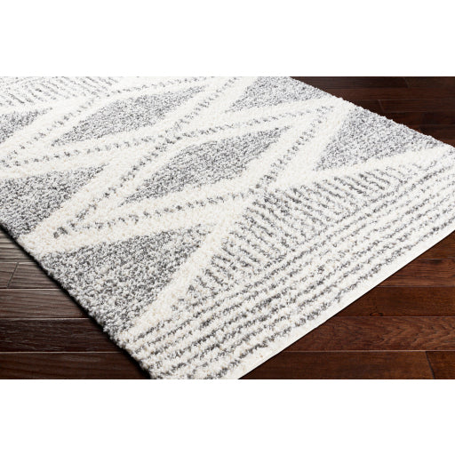Surya Deluxe Shag DXS-2309 Cream Global Machinemade Rug