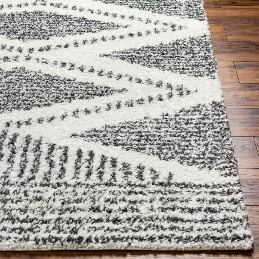 Surya Deluxe Shag DXS-2309 Cream Global Machinemade Rug