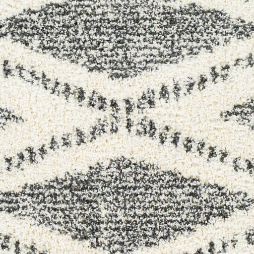 Surya Deluxe Shag DXS-2309 Cream Global Machinemade Rug