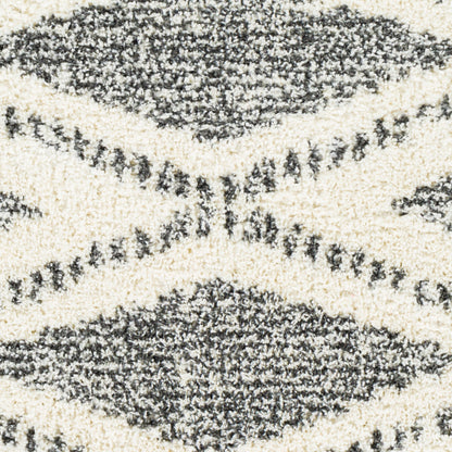 Surya Deluxe Shag DXS-2309 Cream Global Machinemade Rug