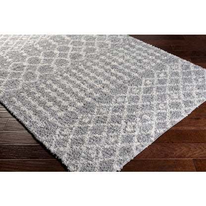 Surya Deluxe Shag DXS-2313 Medium Gray Global Machinemade Rug