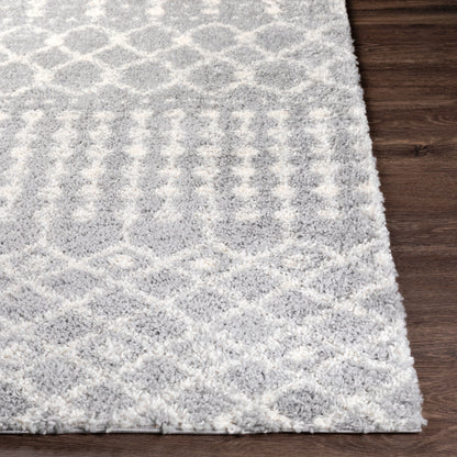 Surya Deluxe Shag DXS-2313 Medium Gray Global Machinemade Rug