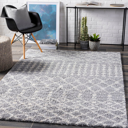 Surya Deluxe Shag DXS-2313 Medium Gray Global Machinemade Rug