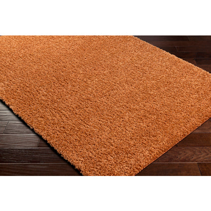 Surya Deluxe Shag DXS-2322 Burnt Orange Modern Machinemade Rug