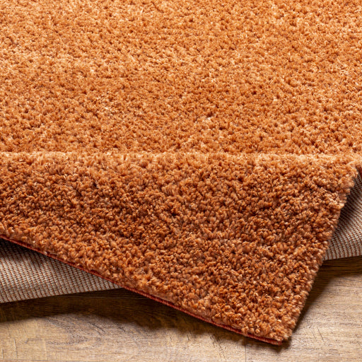 Surya Deluxe Shag DXS-2322 Burnt Orange Modern Machinemade Rug