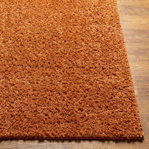 Surya Deluxe Shag DXS-2322 Burnt Orange Modern Machinemade Rug