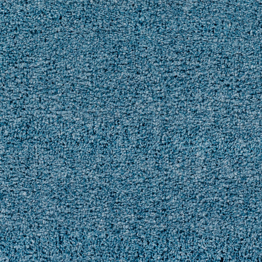 Surya Deluxe Shag DXS-2325 Blue Modern Machinemade Rug